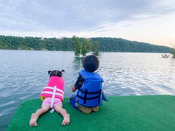 Swim platform at blue waters resort bullshoals lake